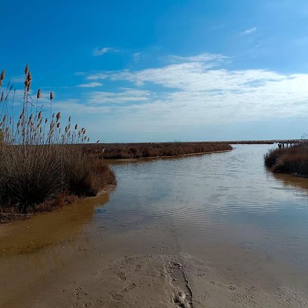 Rincon Del Delta, Apartamento En El Delta Del Ebro, Playa Trabucador Amposta, Tarragona L'Eucaliptus Luaran gambar