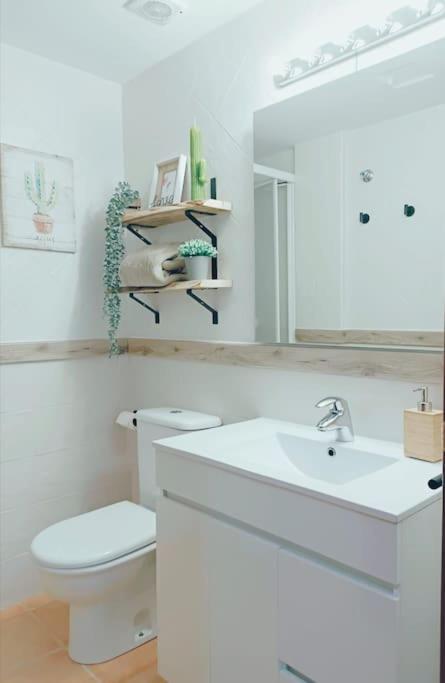 Rincon Del Delta, Apartamento En El Delta Del Ebro, Playa Trabucador Amposta, Tarragona L'Eucaliptus Luaran gambar