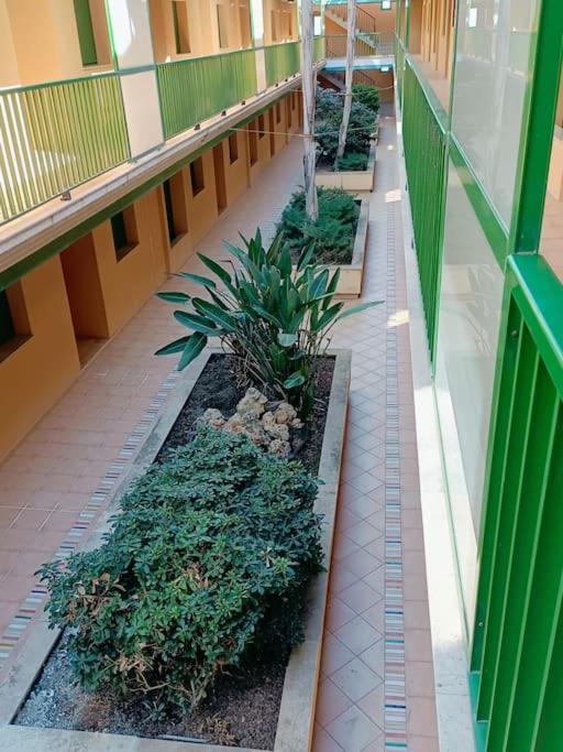 Rincon Del Delta, Apartamento En El Delta Del Ebro, Playa Trabucador Amposta, Tarragona L'Eucaliptus Luaran gambar