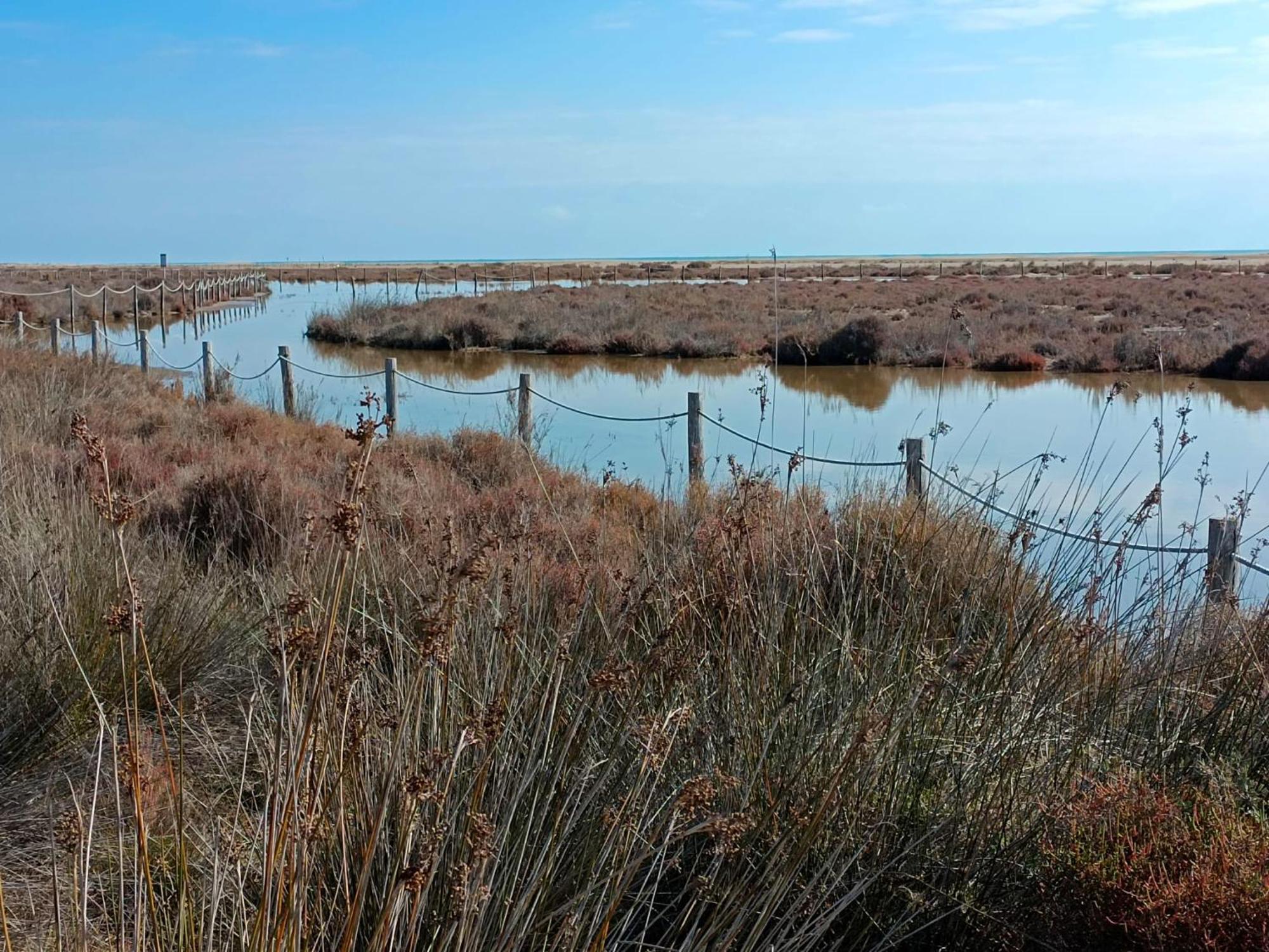 Rincon Del Delta, Apartamento En El Delta Del Ebro, Playa Trabucador Amposta, Tarragona L'Eucaliptus Luaran gambar