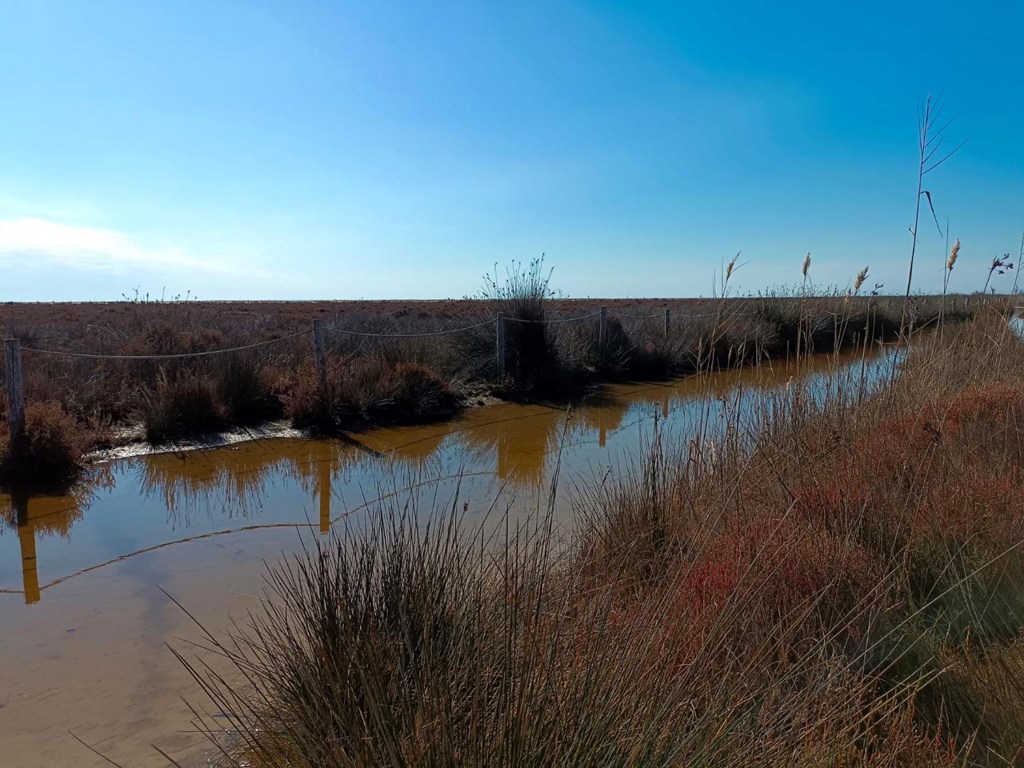 Rincon Del Delta, Apartamento En El Delta Del Ebro, Playa Trabucador Amposta, Tarragona L'Eucaliptus Bilik gambar